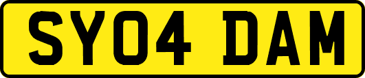 SY04DAM