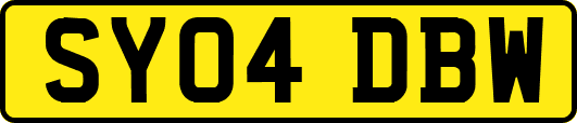 SY04DBW