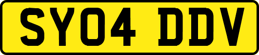 SY04DDV