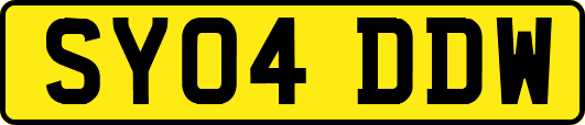 SY04DDW