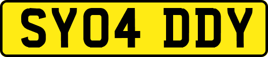 SY04DDY