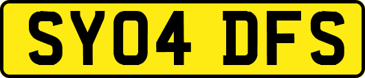 SY04DFS