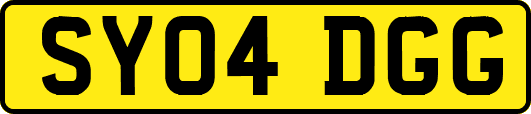 SY04DGG