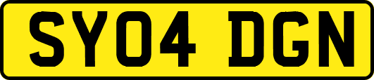 SY04DGN