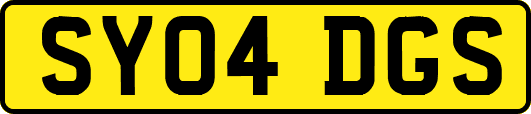 SY04DGS