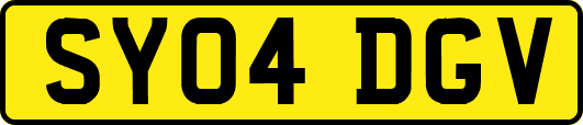 SY04DGV