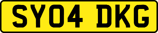 SY04DKG