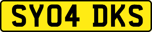 SY04DKS