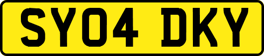 SY04DKY