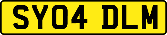 SY04DLM