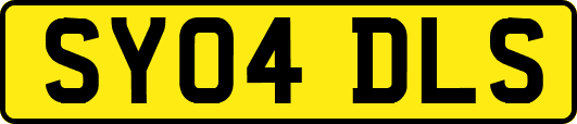 SY04DLS