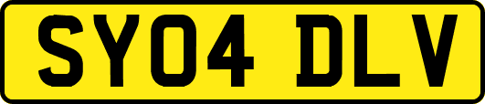 SY04DLV