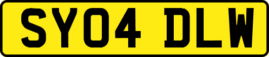 SY04DLW