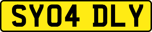 SY04DLY