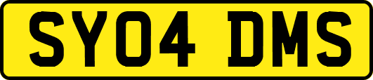 SY04DMS