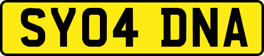 SY04DNA