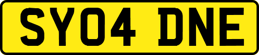 SY04DNE