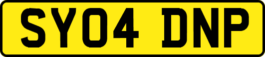 SY04DNP