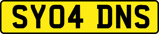 SY04DNS