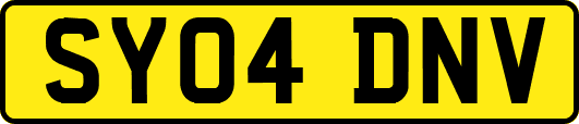 SY04DNV