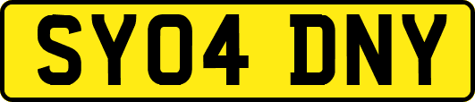 SY04DNY