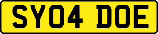 SY04DOE