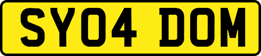 SY04DOM