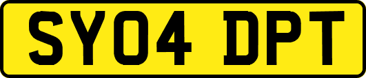 SY04DPT