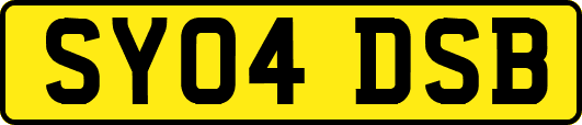 SY04DSB