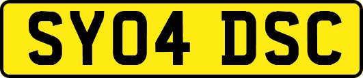 SY04DSC