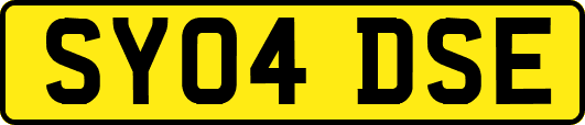 SY04DSE