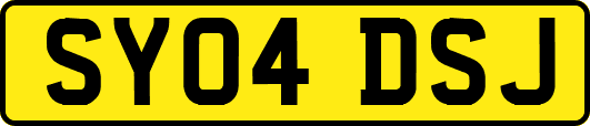 SY04DSJ