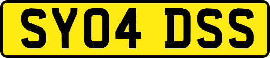 SY04DSS