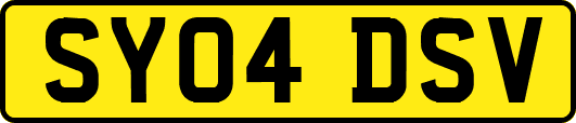 SY04DSV