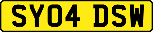 SY04DSW