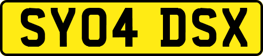 SY04DSX