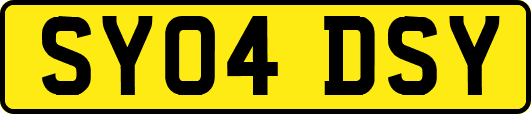 SY04DSY