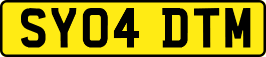 SY04DTM