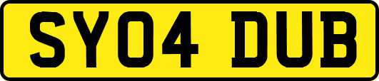 SY04DUB