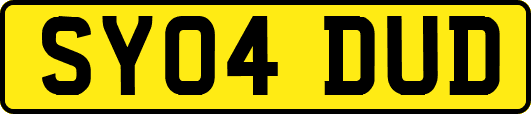 SY04DUD