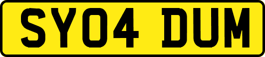 SY04DUM