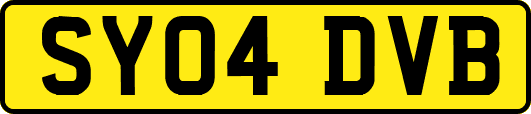 SY04DVB