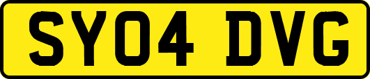SY04DVG