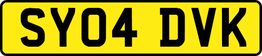 SY04DVK