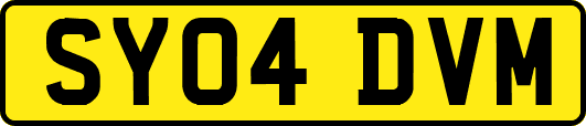 SY04DVM