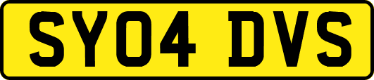 SY04DVS