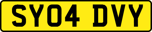 SY04DVY