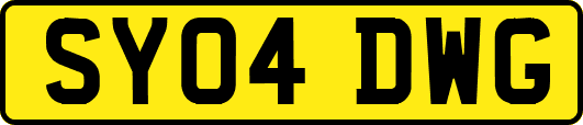 SY04DWG