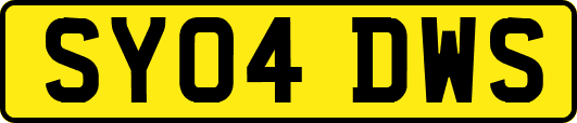 SY04DWS