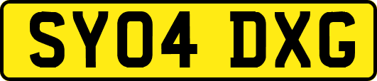 SY04DXG